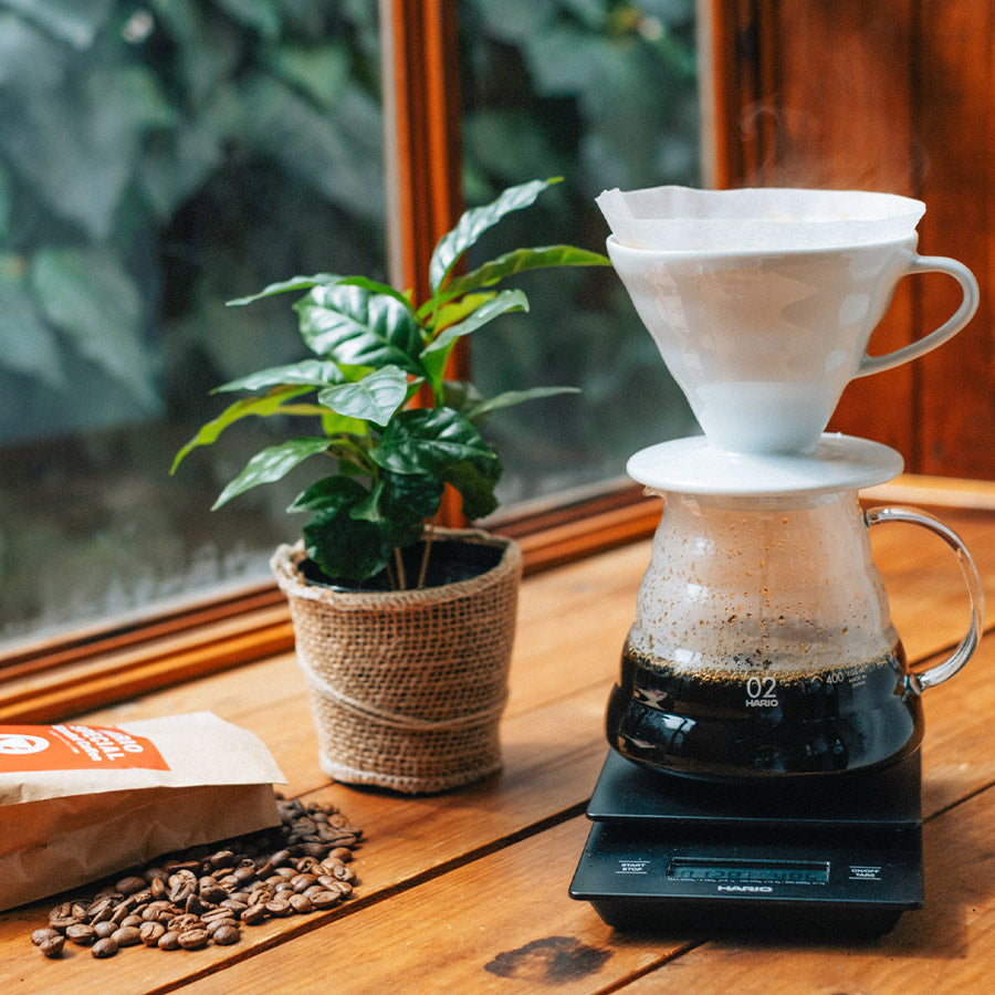 Hario Coffee Dripper V60 02 Ceramic - Weiß