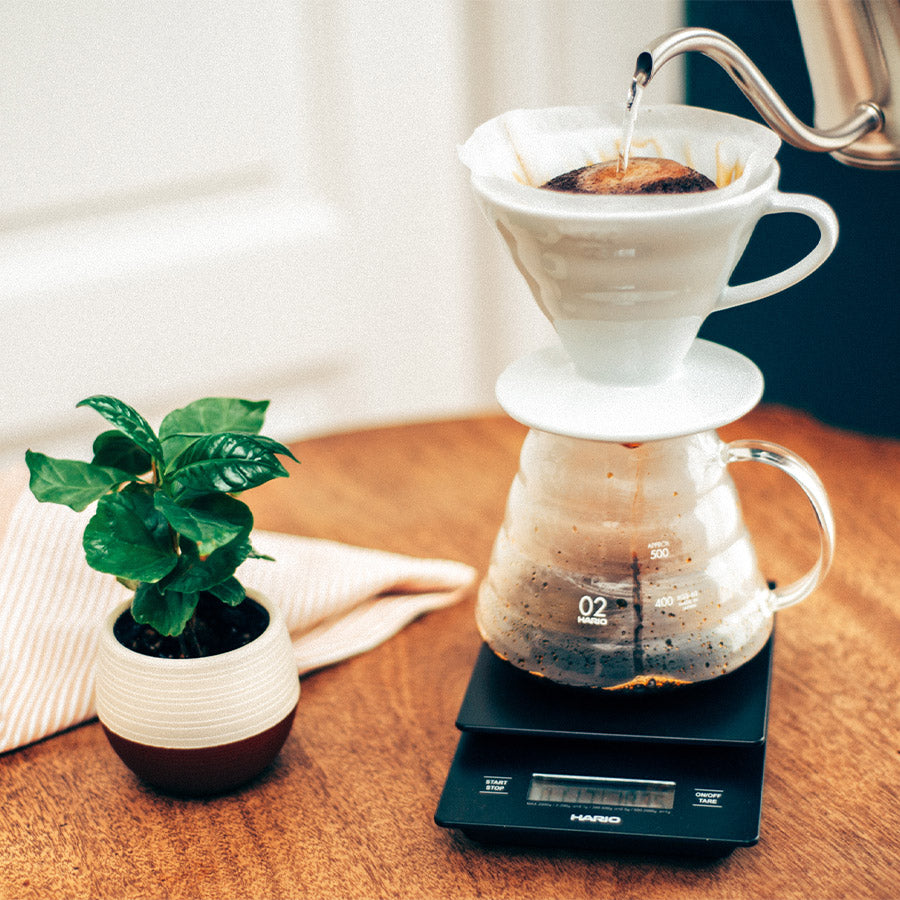 Hario V60 Range Server 600ml Clear